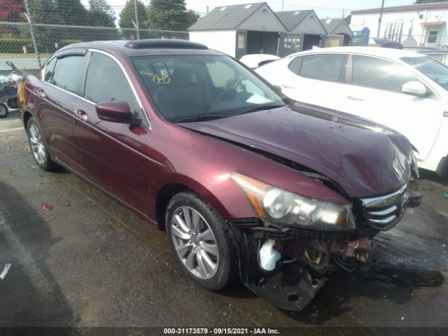 HONDA ACCORD SDN 2011 1hgcp2f75ba102613