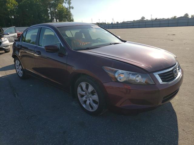 HONDA ACCORD EX 2010 1hgcp2f76aa061293