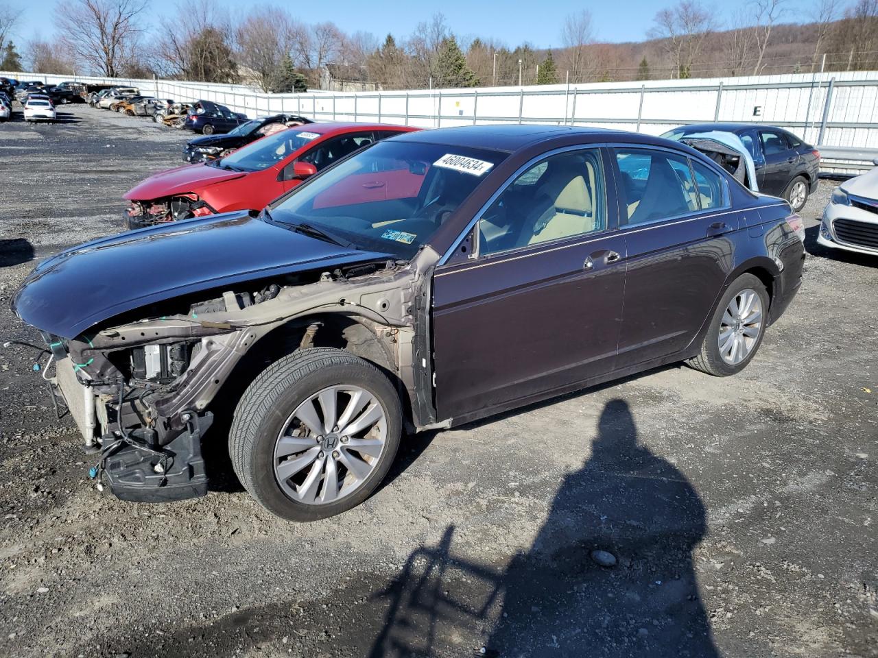 HONDA ACCORD 2011 1hgcp2f76ba020938