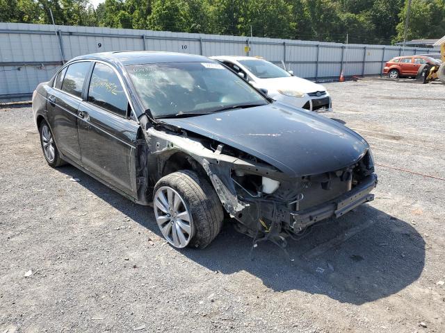 HONDA ACCORD EX 2011 1hgcp2f76ba045919