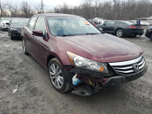 HONDA ACCORD EX 2011 1hgcp2f76ba108565