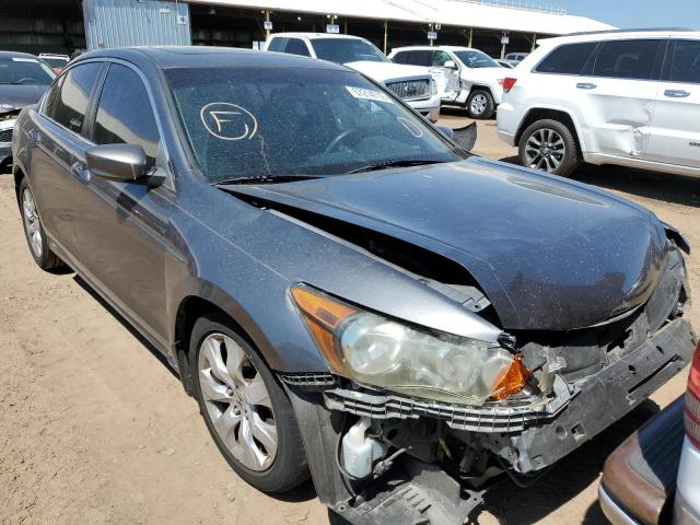 HONDA ACCORD EX 2010 1hgcp2f77aa114535