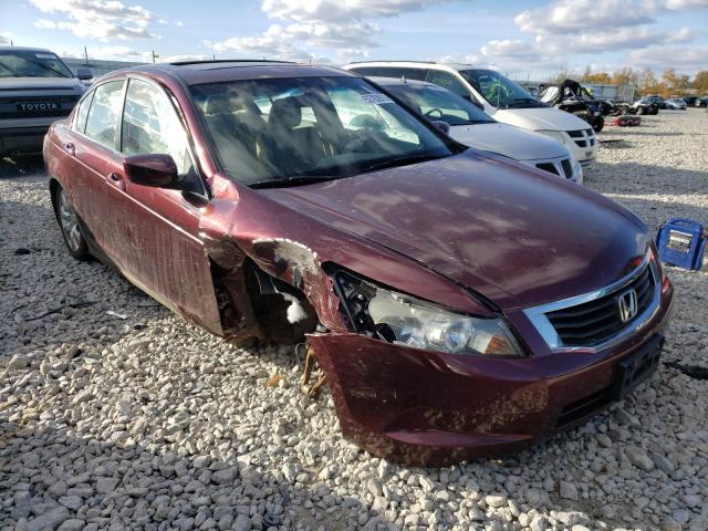 HONDA ACCORD EX 2010 1hgcp2f77aa119508