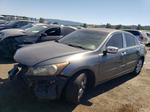 HONDA ACCORD EX 2010 1hgcp2f77aa137264