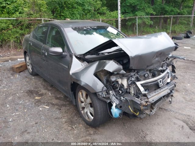 HONDA ACCORD 2010 1hgcp2f77aa183788