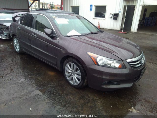 HONDA ACCORD SDN 2011 1hgcp2f77ba020897