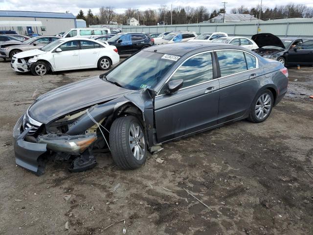 HONDA ACCORD EX 2011 1hgcp2f77ba117744