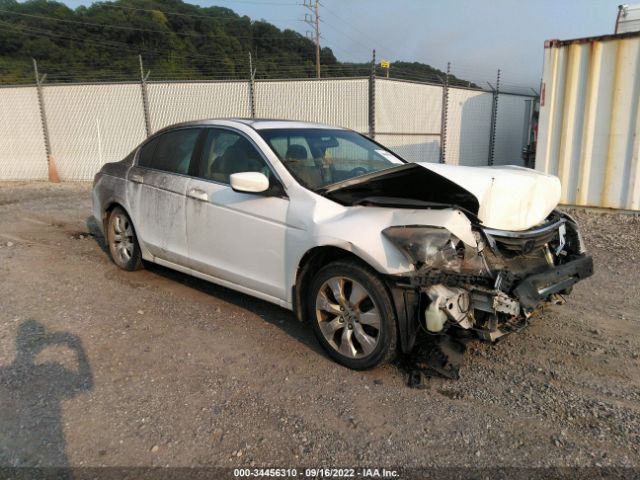 HONDA ACCORD SDN 2010 1hgcp2f78aa058914