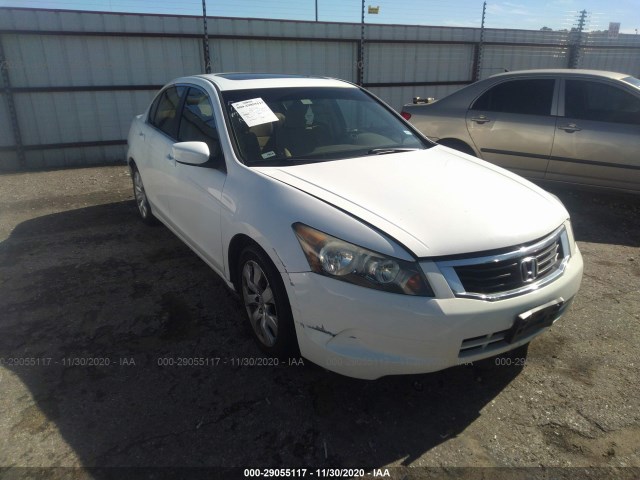 HONDA ACCORD SDN 2010 1hgcp2f78aa092870