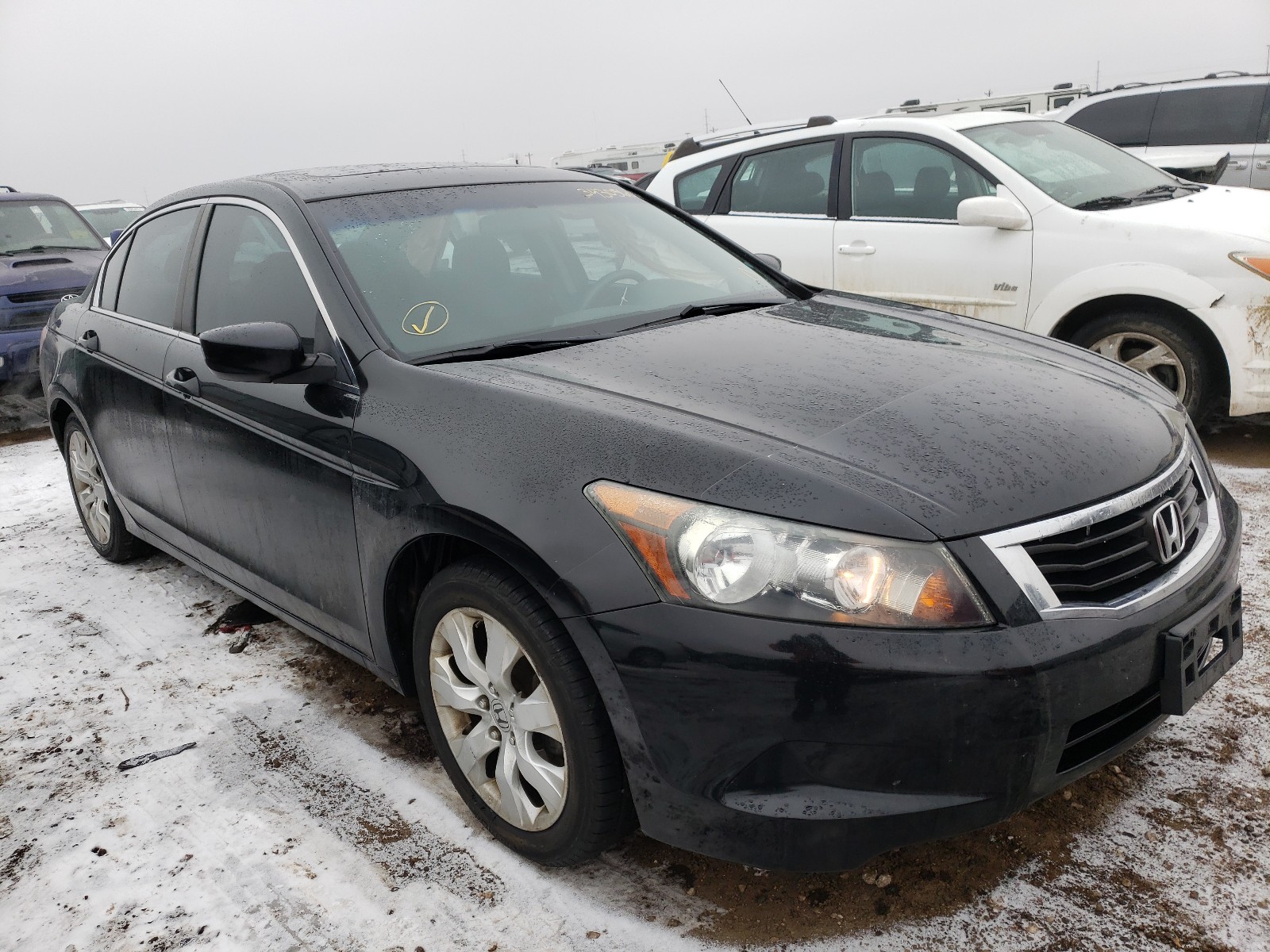 HONDA ACCORD EX 2010 1hgcp2f78aa133210