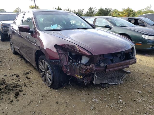 HONDA ACCORD EX 2011 1hgcp2f78ba144094