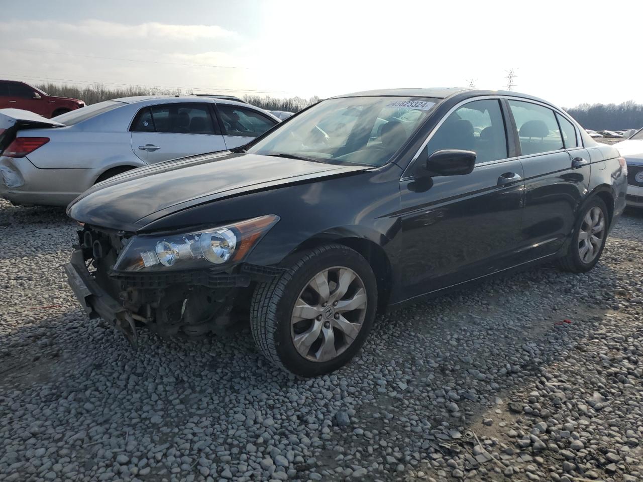 HONDA ACCORD 2010 1hgcp2f79aa017482