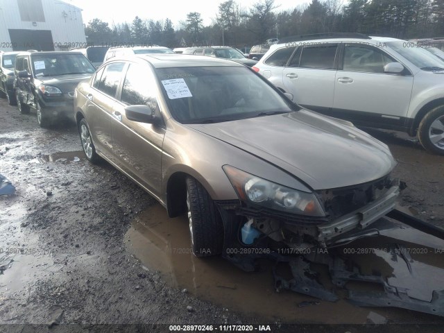 HONDA ACCORD SDN 2010 1hgcp2f79aa035657