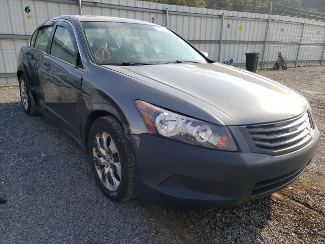 HONDA ACCORD EX 2010 1hgcp2f79aa082378