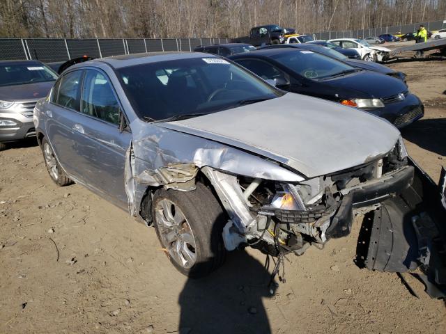 HONDA ACCORD EX 2010 1hgcp2f79aa141462