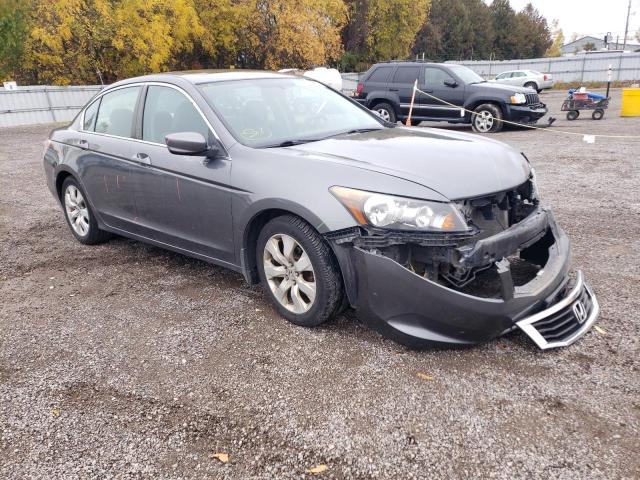 HONDA ACCORD EX 2010 1hgcp2f79aa804688