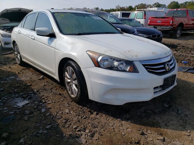 HONDA ACCORD EX 2011 1hgcp2f79ba034820