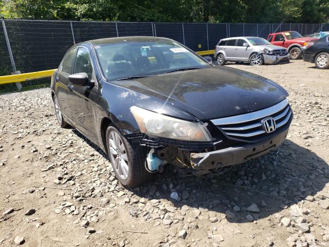 HONDA ACCORD EX 2011 1hgcp2f79ba055442