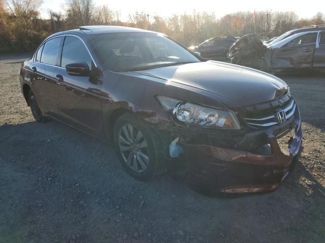 HONDA ACCORD EX 2012 1hgcp2f79ca088443