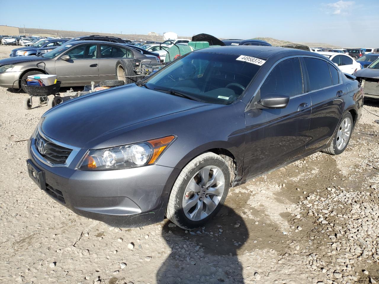 HONDA ACCORD 2010 1hgcp2f7xaa080820