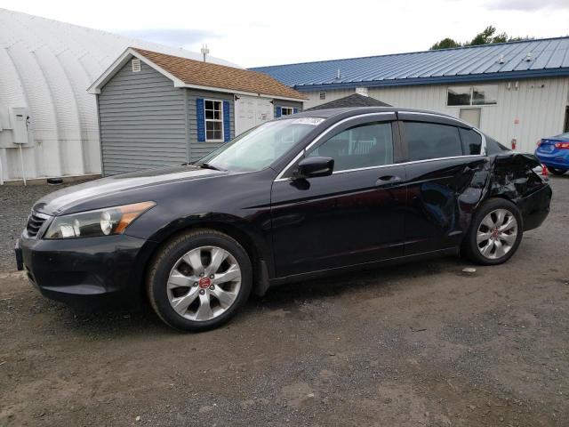 HONDA ACCORD EX 2010 1hgcp2f7xaa141549