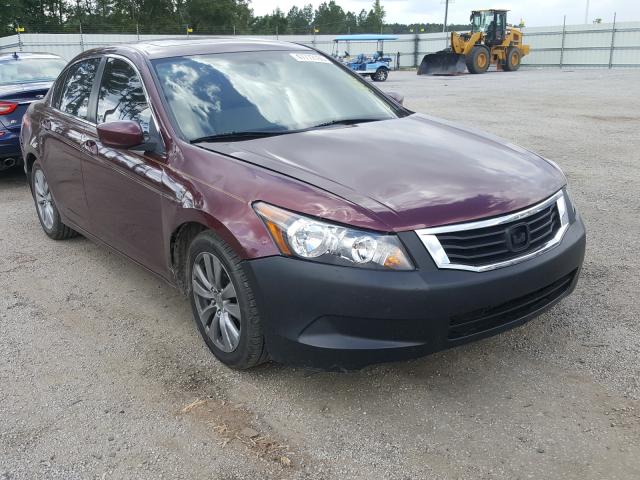 HONDA ACCORD EX 2011 1hgcp2f7xba061010