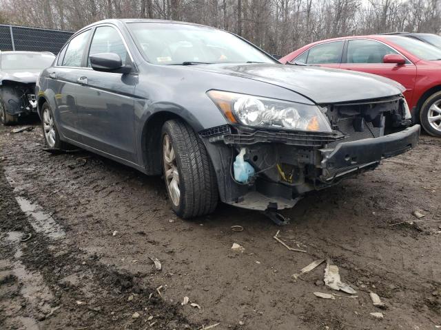 HONDA ACCORD EXL 2010 1hgcp2f80aa003513