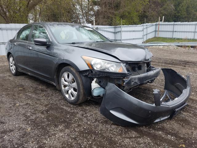 HONDA ACCORD EXL 2010 1hgcp2f80aa802126