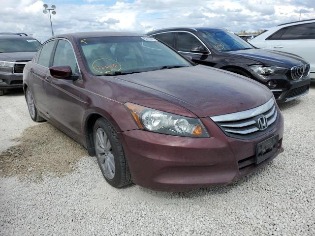 HONDA ACCORD EXL 2011 1hgcp2f80ba007773