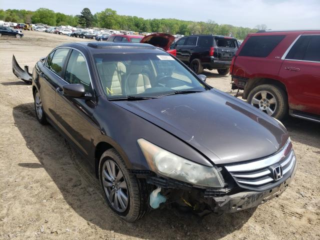 HONDA ACCORD EXL 2011 1hgcp2f80ba033645