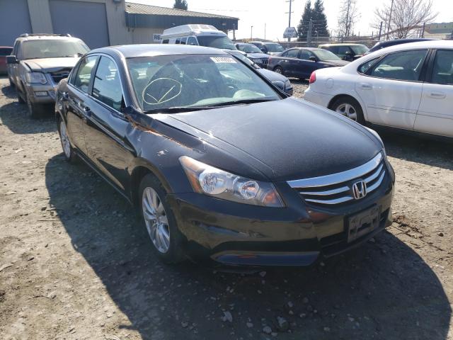 HONDA ACCORD EXL 2011 1hgcp2f80ba080514