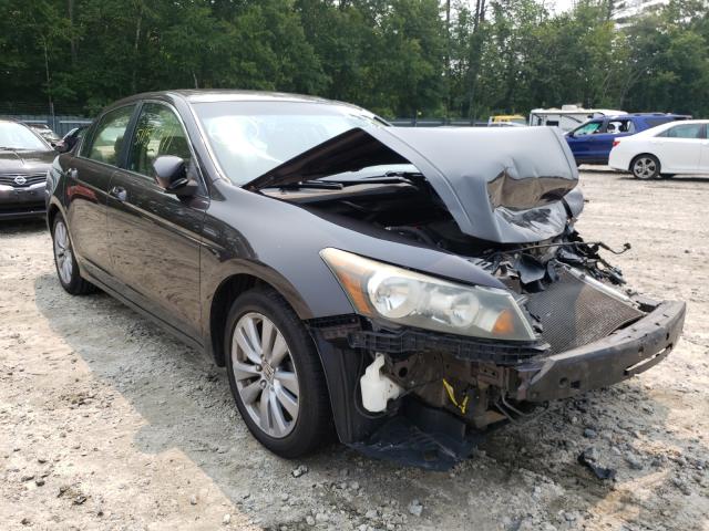 HONDA ACCORD 2011 1hgcp2f80ba086698