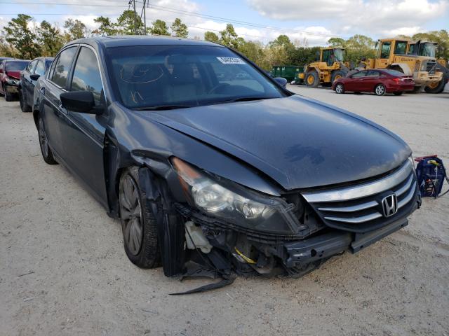 HONDA ACCORD EXL 2011 1hgcp2f80ba113902