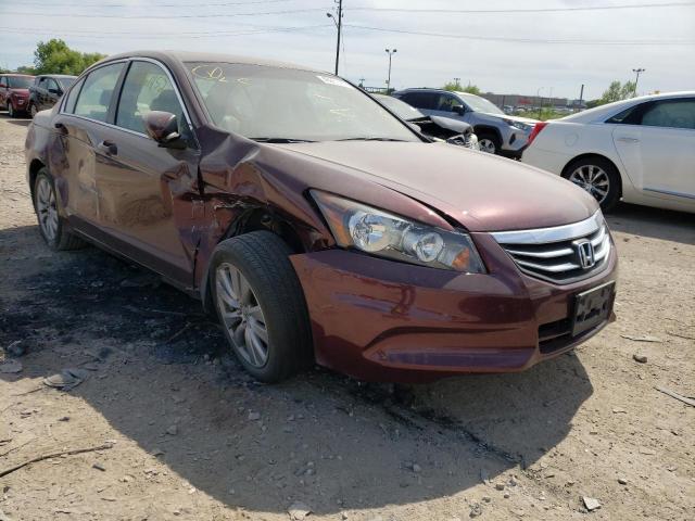 HONDA ACCORD EXL 2011 1hgcp2f80ba128500