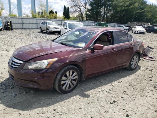 HONDA ACCORD 2012 1hgcp2f80ca146061