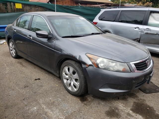 HONDA ACCORD EXL 2010 1hgcp2f81aa033975