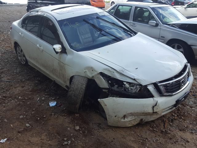 HONDA ACCORD EXL 2010 1hgcp2f81aa080651