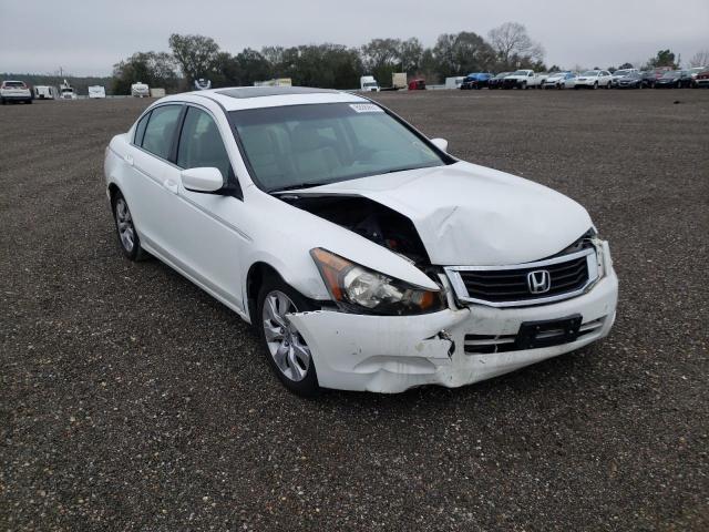 HONDA ACCORD EXL 2010 1hgcp2f81aa104706