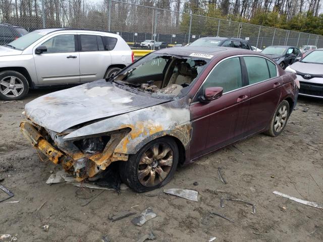 HONDA ACCORD EXL 2010 1hgcp2f81aa108545