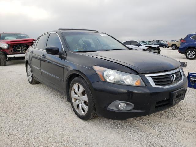 HONDA ACCORD EXL 2010 1hgcp2f81aa157583