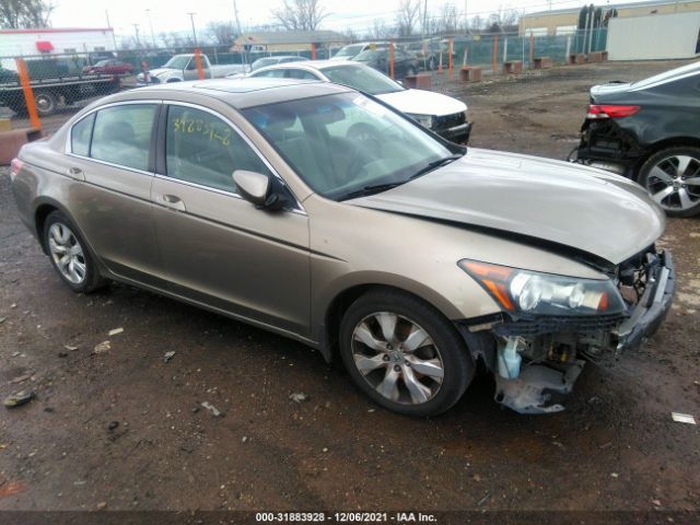 HONDA ACCORD SDN 2010 1hgcp2f81aa164839