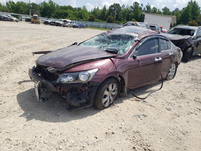 HONDA ACCORD EXL 2010 1hgcp2f81aa165862