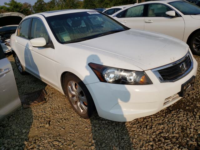 HONDA ACCORD EXL 2010 1hgcp2f81aa184489