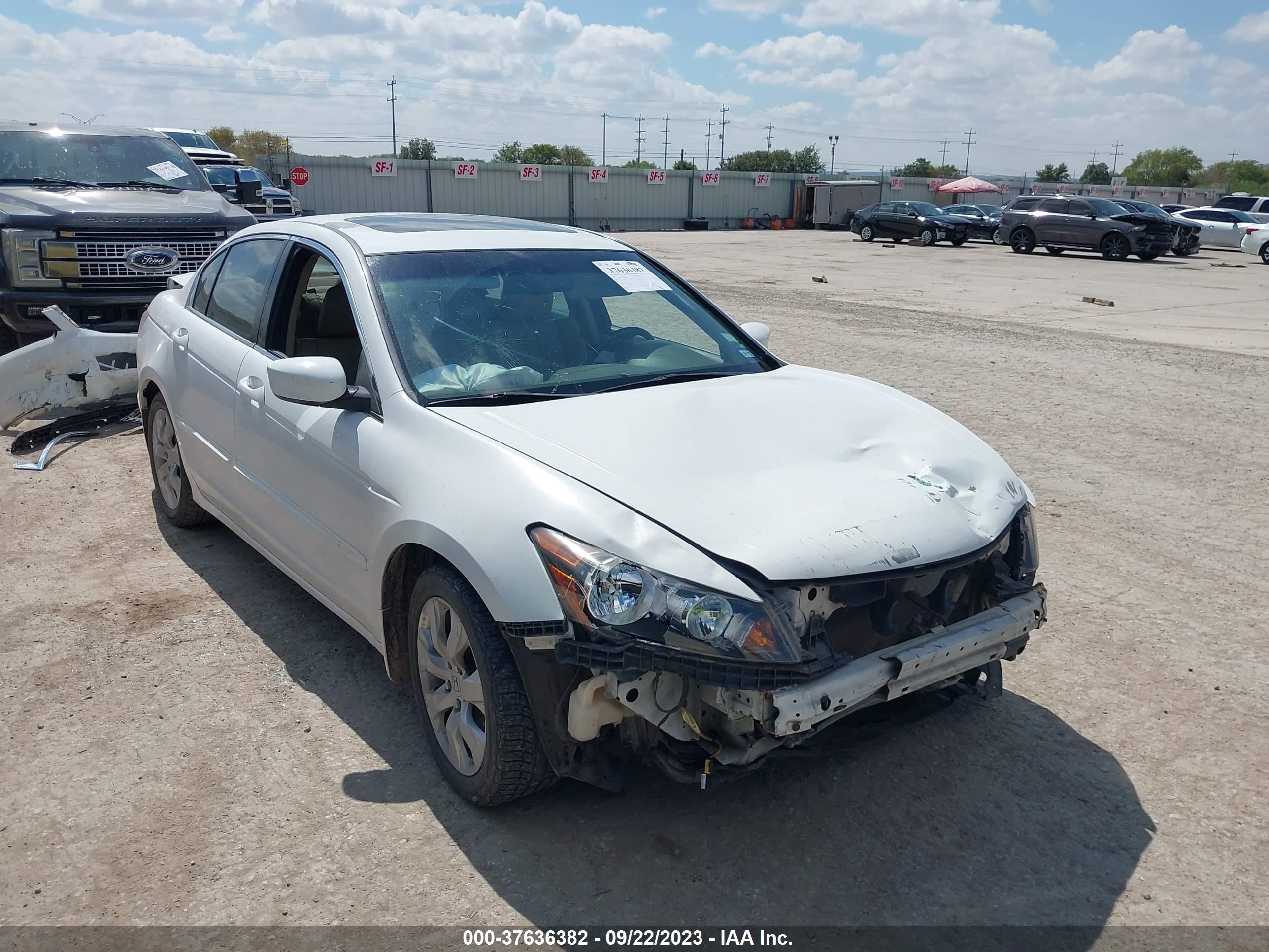 HONDA ACCORD 2010 1hgcp2f81aa186050