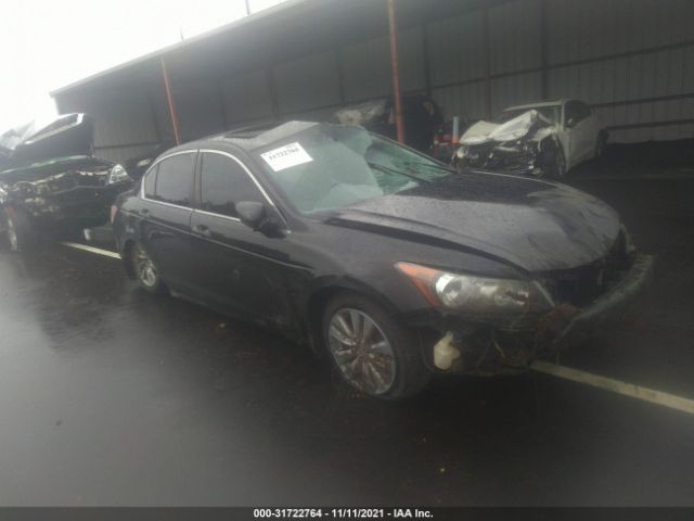 HONDA ACCORD SDN 2011 1hgcp2f81ba036392