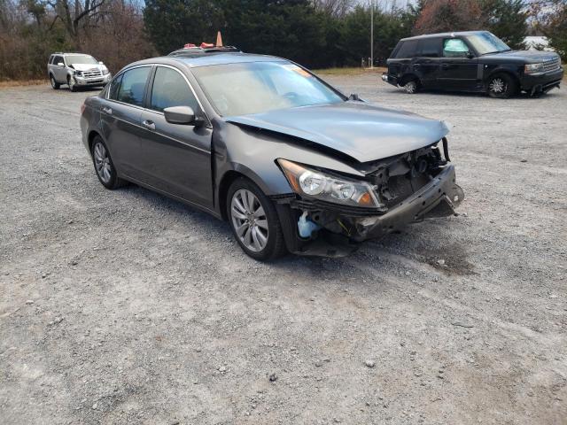 HONDA ACCORD EXL 2011 1hgcp2f81ba059994