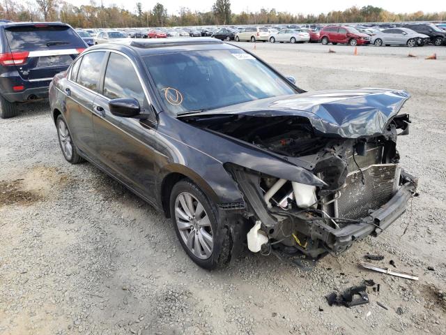 HONDA ACCORD EXL 2011 1hgcp2f81ba065262