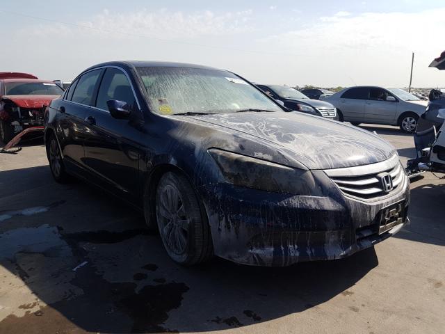 HONDA ACCORD EXL 2011 1hgcp2f81ba092428