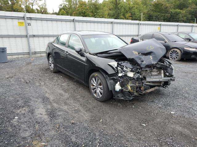 HONDA ACCORD EXL 2011 1hgcp2f81ba096978