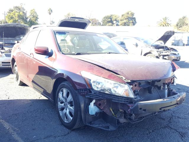 HONDA ACCORD EXL 2010 1hgcp2f82aa014920